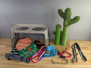 lot 114 image: Assorted Dog and Cat Accessories Cactus Scratch Post, Sweaters, Collars, Elevated Dish Holder and More Z