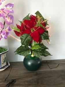 lot 19 image: 4 - LED Color Changing Lighted Plants