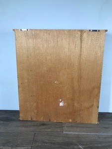 lot 94 image: Small Wooden Glass Front Wall Hanging Display Case