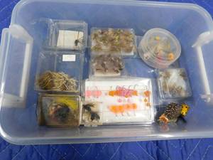 lot 261 image: Container of fishing flies