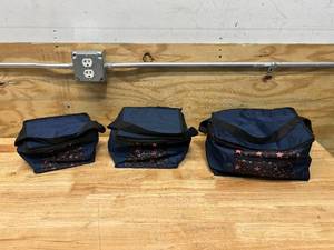 lot 84 image: Set of 3- Lunch Coolers