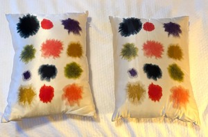 lot 44A image: Amazing Accent Pillows