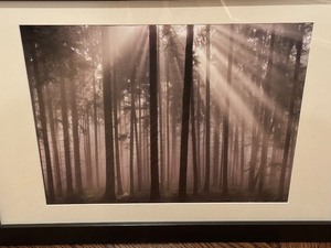 lot 109 image: Framed Scenic Photograph Print