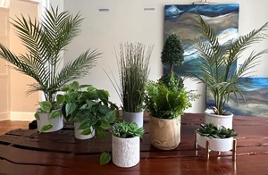 lot 72 image: Variety of Faux Foilage and Succulents
