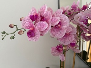 lot 66 image: Pair of Decorative Faux Orchid Plants