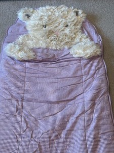 lot 204 image: Pottery Barn Kids Sleeping Bag
