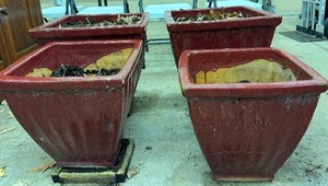 lot 189 image: Four Coordinating Planters