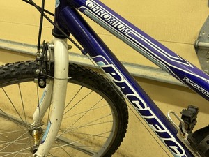 lot 300 image: Pacific Chromium Bicycle