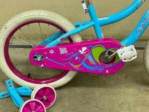 lot 292 image: Schwinn Iris Bicycle with Training Wheels