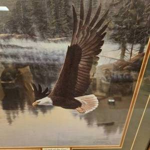 Eagle Print, Land of the Free