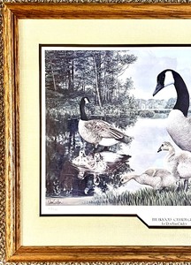 lot 192 image: Wooden Framed Artwork THE BROOD - CANADA GEESE Artist signed and numbered by RON VAN GILDER #69580