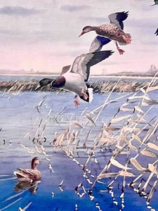 lot 197 image: Wooden Framed Artwork MALLARDS ASSEMBLING Artist Signed by LES C. KOUBA #1762000