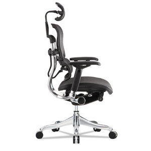 lot 263 image: Eurotech Ergohuman Elite High-back Chair, 18.1 To 21.6 Seat Height, Black