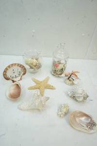lot 30 image: Seashell decor
