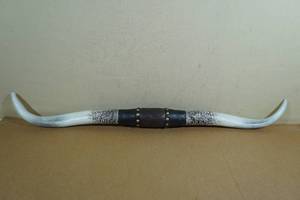 lot 218 image: Texas Longhorns Cast Resin Horns