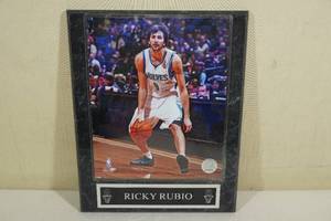lot 295 image: Ricky Rubio Photo Plaque