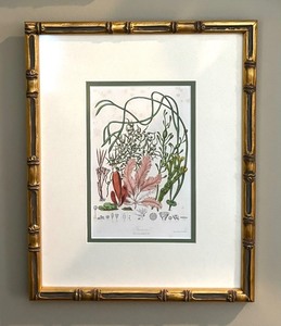 lot 123 image: Trio of Golden Framed Floral Prints