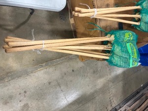 6 WAREHOUSE CORN BROOMS