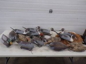 lot 13 image: 15 Duck Decoys with Carry Bag