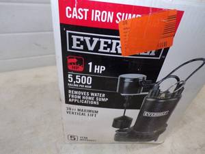 lot 39 image: 1 HP Cast Iron Sump Pump