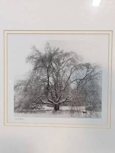 lot 22 image: Framed Winter Print