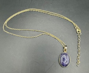 Cool Purple Beetle Pendant Necklace