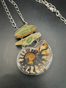 Amazing Sterling Ammonite Fossil and Jasper Necklace