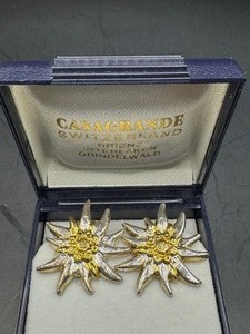 Star Burst Look Earrings