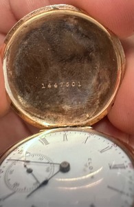Ladies Pocket Watch