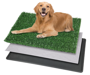 lot 255 image: Dog Grass Pet Loo IndoorOutdoor Portable Potty