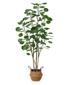 lot 588 image: Artificial Aralia Balfour Tree,Fake Greenery Plant,Come with Woven Seagrass Belly Basket, 5.2 Ft