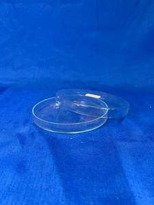lot 24 image: 7 - Glass Petri Dishes 150mm x 15mm
