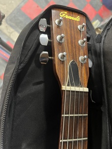 Guitar & Case
