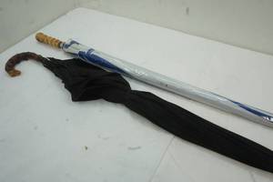 lot 43 image: Umbrellas