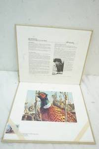 lot 255 image: Minnesota PaintingPrint Pheasant