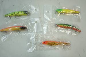 lot 19 image: fishing lures