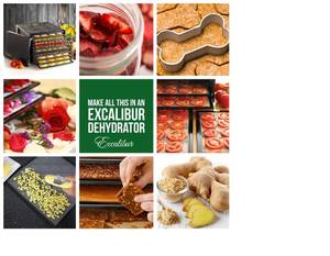 lot 18 image: Like New Unused Excalibur 9-Tray Food Dehydrator - Model 3900B