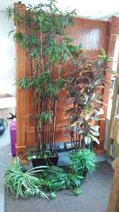 lot 352 image: Artificial Plants (5).