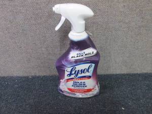 11- 32 oz Lysol Mold & Mildew Remov...
