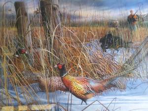 lot 78 image: Pheasant print, New still in protective wrap corners
