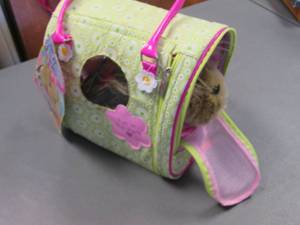 lot 30 image: Day at the Park Pucci Pups Yorkshire with accessories