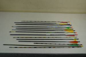 lot 59 image: Assorted Arrows - Aluminum, Carbon
