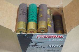 lot 196 image: 26 10 Gauge 3-12 Magnum Shotshells - 3 Slug, 2 BBB, 21 BB Shot