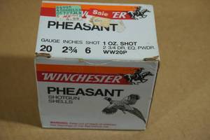 lot 202 image: 25 Winchester Pheasant 20 Gauge 2-34 6 Shot Shotshells