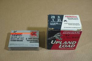 lot 204 image: 29 20 Gauge 6 Shot Shotshells - Plus 1 - 8 Shot