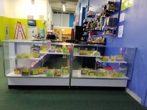 lot 147 image: (2) Store Fixtures Full-Vision Display Case with 2 interior shelves
