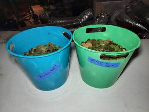 lot 35A image: (2)  8 tall buckets filled with coinstokens.