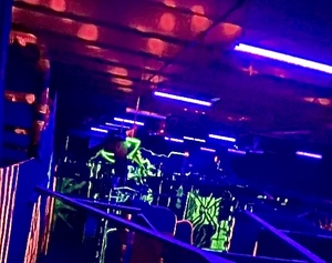 lot 45A image: 15-20 LED 4 foot Black Light Fixtures, plug n play type