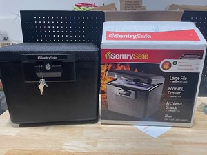 Sentry Safe Large File NEW