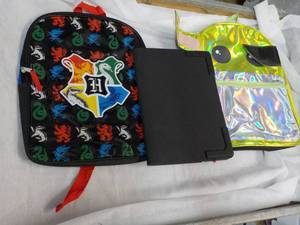 2 new Pack Backs and Computer Bag